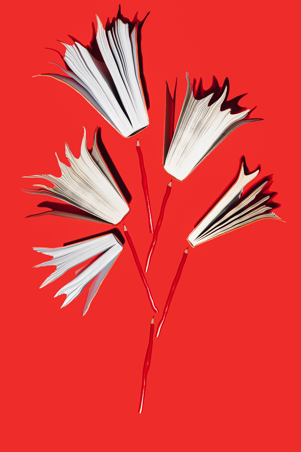 Red books and pencils on vibrant red background