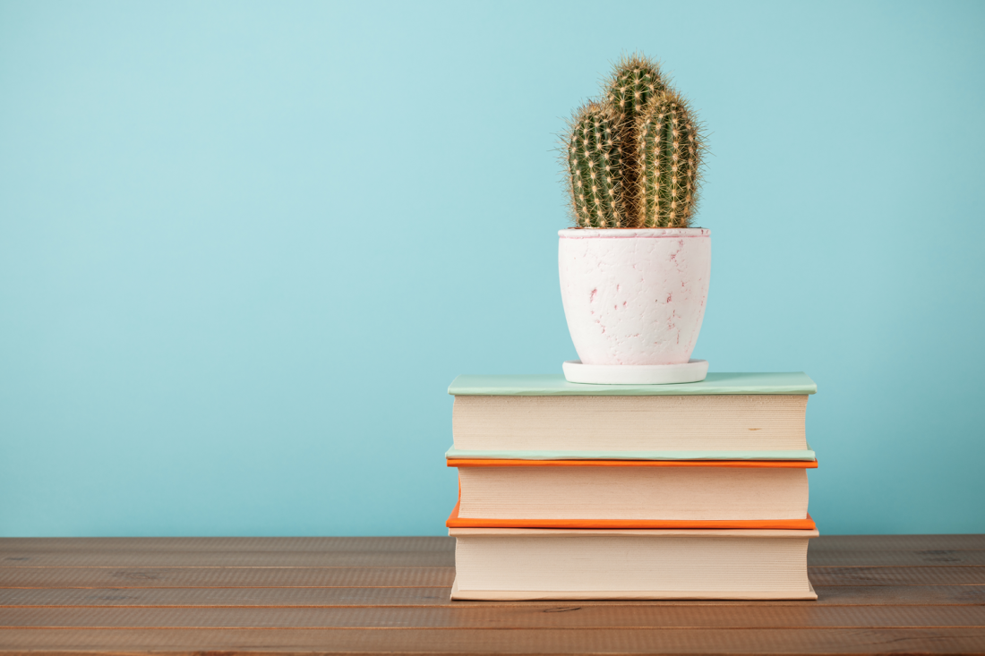 Stack of books and cactus plant on wooden table